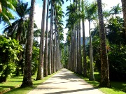 146  Botanical Garden.JPG